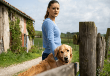 Quelles sanctions risque-t-on pour maltraitance animale en France ? Quelles sont les sanctions en cas de maltraitance sur un animal ? - photo 1