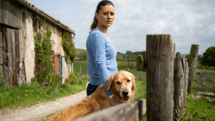 Quelles sanctions risque-t-on pour maltraitance animale en France ? Quelles sont les sanctions en cas de maltraitance sur un animal ? - photo 1