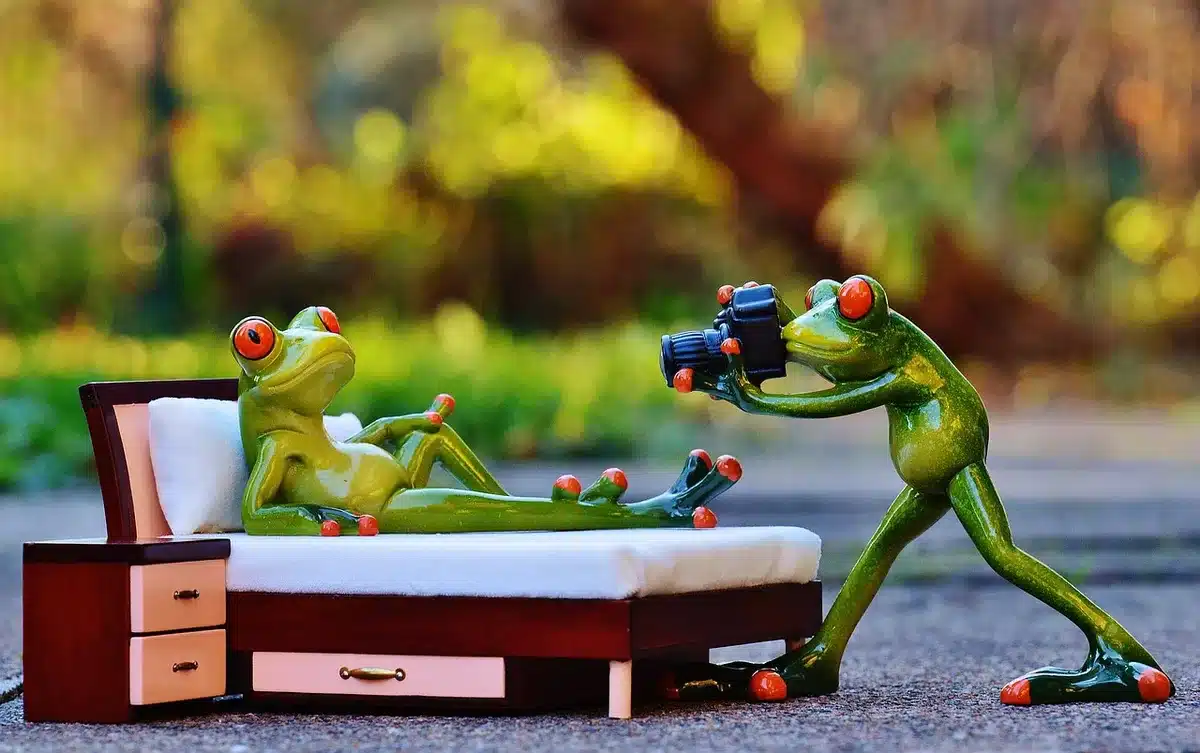 Photographies et devis montrant des dégâts et preuves à joindre à la plainte