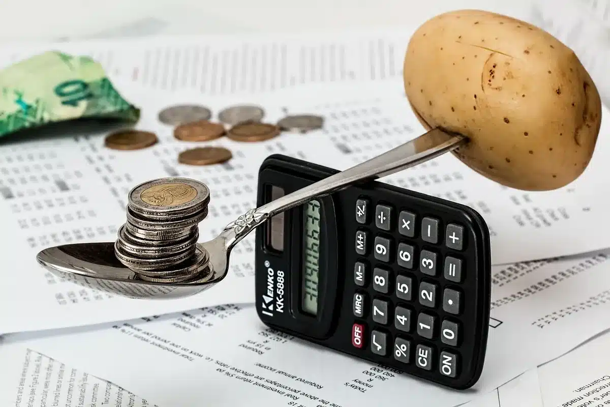 Tableau de budget e-commerce montrant les différents coûts mensuels d'une boutique en ligne