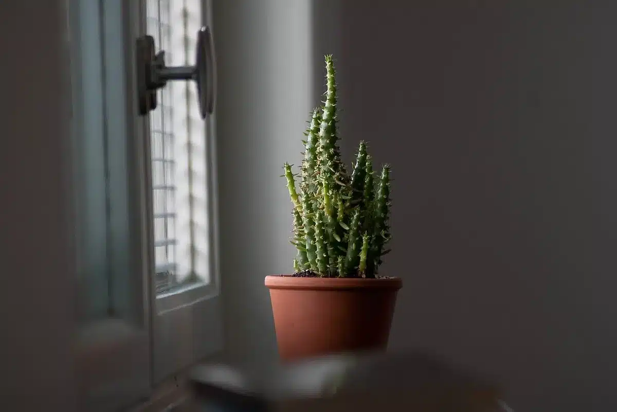 Appartement mis en scène et photographié pour une annonce